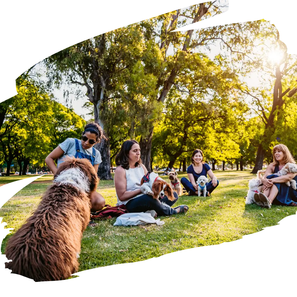 An image of a group of women with their emotional support animals in the EU.